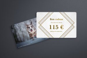 Carte cadeau 115€